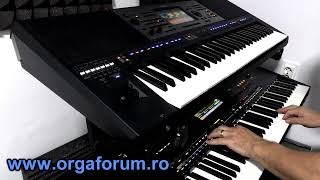 KORG PA5X VS YAMAHA PSR A5000