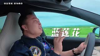 在这里，时间仿佛静止，你可以放慢脚步，聆听风的低语