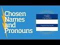 Chosen Names & Pronouns Overview