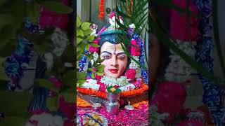 20-07-2022 श्री दूधेश्वर नाथ महादेव जी का प्रातः काल आरती के भव्य ,अद्भुत ,मनमोहक श्रृंगार दर्शन ||