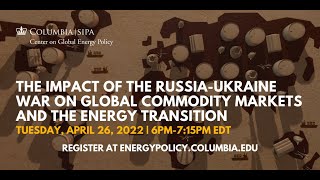 The Impact of the Russia-Ukraine War on Global Commodity Markets and the Energy Transition
