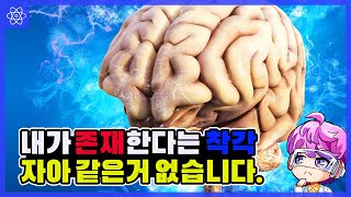 나라는 존재를 느끼는 자아와 의식은 어디로 부터 오는가? 그런게 존재는 할까?