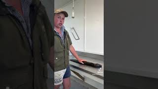 How to Fillet a Tuna ( Eel )