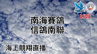 03/21 (日)  第三關南海賽鴿\u0026信鴿南聯船隊2021年春季比賽