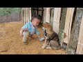 with a little girl to complete the bed on the farm