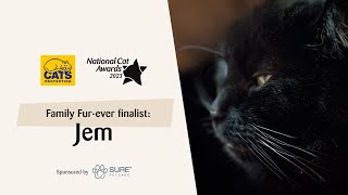 Jem | National Cat Awards 2023: Family Fur-ever finalist