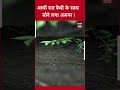 आधी रात को कैदी के साथ सोने लगा अजगर...viral video होश उड़ा देगा crimetak mumbai crime tak