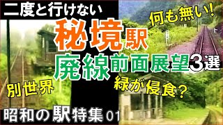 【秘境駅】南部縦貫鉄道,栗原電鉄,井川旧線の前面展望で失われた秘境駅を追想