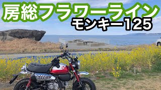 【ホンダモンキー 125】房総フラワーラインへ