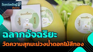 ฉลากอัจฉริยะวัดความสุกมะม่วงน้ำดอกไม้สีทอง | ไทยประดิษฐ์คิดเก่ง | วันใหม่วาไรตี้