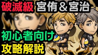 破滅級宮侑＆宮治をハイキューコラボから始めた人向け編成で攻略解説【コトダマン】