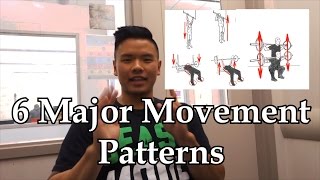 Every Training Program Needs This!!! | 6 Major Movement Patterns