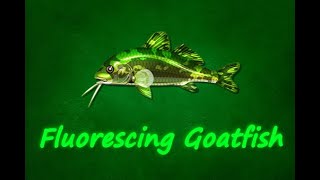 Fishao - Fluorescing Goatfish (5★)