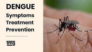 Dengue || Symptoms || Treatment || Prevention || 1mg