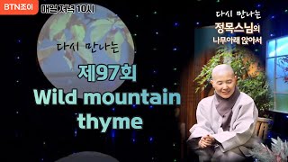 정목스님의 나무아래 앉아서 ㅣ제97회 Wild mountain thyme