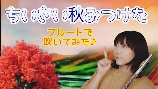 【ちいさい秋みつけた】フルートで吹いてみた♪【童謡】