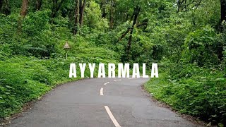 Ayyarmala Forest | A Road Trip Through Forest | Lime Thoughts