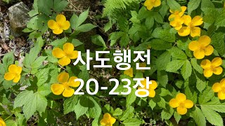 현대인의성경_통독269일차(사도행전20-23장) | 말씀읽는가을 | 읽어주는성경