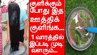 1 வாரத்தில் இப்படி முடி வளர்ந்து கொண்டே போக இத தேயுங்க | hair growth tips in tamil | mudi valara