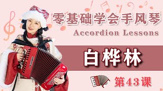 Accordion第43课：白桦林