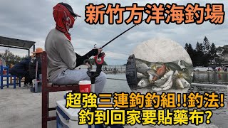 【獵獵釣魚】帶這三連鉤去海釣場釣到老闆叫我一定要再來!?釣到回家雙手貼藥布#釣魚#海釣場#方洋海釣場#三連鉤