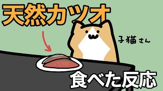 はじめて天然物のカツオを食べたときの反応がこちらです