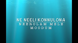 Nee Neeli Kannullona || Nerodum Mele Moodum || Dear Comrade - Guitar Tutorial