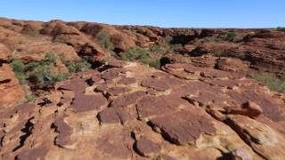 Intro to the Australian Outback