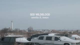 seb wildblood - amelia ft. mauv