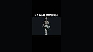 골반통증과 심부외회전근 #골반통증 #유니드짐