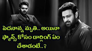 Prabhas arranged food fans_పెదనాన్న మృతి.. అయినా ఫ్యాన్స్ కోసం డార్లింగ్ ఏం చేశాడంటే..?