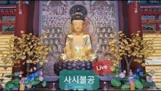 진리의 실천도량, 달마사 12월 18일 사시불공 및 인등기도