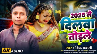 #New Year Song - 2025 में दिलवा तोरले || Biru Bawali - 2025 Me Dilwa Torale Sad Song Love Song