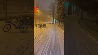 北京 | 大雪纷飞 | 学院路 | 2024年