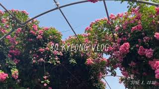 [VLOG] 양화한강공원 피크닉 | HanGang Park Picnic