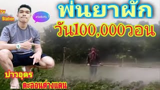 พ่นยาผักวันล่ะ100,000 #งานเกษตรในเกาหลีใต้Ep.6