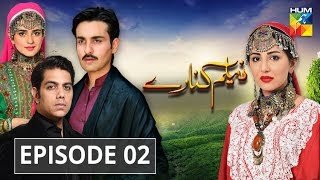 Neelum Kinaray Episode #02 HUM TV Drama