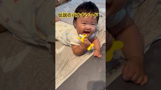 伝説のバナナソード　#歯固め　#baby 皮食うんかい！　かわいい