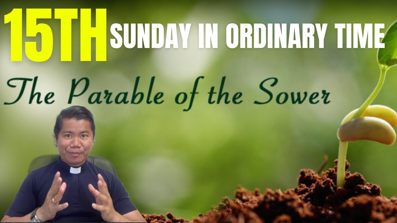 HOMILY: 15th Sunday In Ordinary Time Year A - YouTube