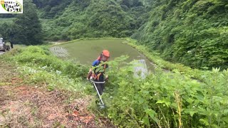 2023年6月13日棚田の草刈り日記