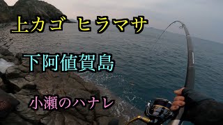 [カゴ釣り] 初釣り4日目　上カゴヒラマサ釣り