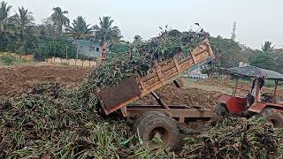 வடுவூர் ஏரி- ஆகாயத்தாமரை இயற்கை உரமாக மாற்றும் பணி