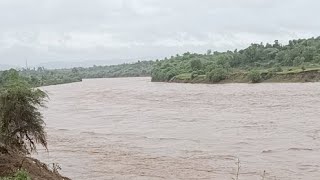 Karjan River Live Rajpipla Karjan Dam #karjandam #narmada