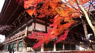 京都南禅寺と真如堂の紅葉  Autumn in Kyoto's nanzen-ji Temple