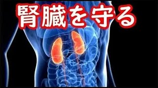 腎臓を守る基本的な方法がコレ！腎臓を健康に機能させて病気を防ぐ方法とは？