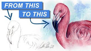 Paint A Flamingo In Watercolours