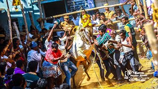 VALLIPATTU  ERUTHUKATTU  2018 004 வள்ளிபட்டு எருதுவிடும் திருவிழா 9787462444