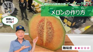 【ペーパークラフト】メロンの作り方～ダウンロードして作ってみよう！～札幌市中央卸売市場発