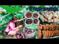 3 WAYS TO COOK TARO ROOT ELEPHANT EAR | Dessert Sa Aming Probinsya