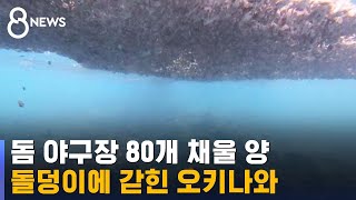 해저화산 분화 돌덩이 '둥둥'…일본 열도 '비상' / SBS